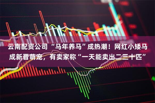 云南配资公司 “马年养马”成热潮!网红小矮马成新晋萌宠,有卖家称“一天能卖出二三十匹”