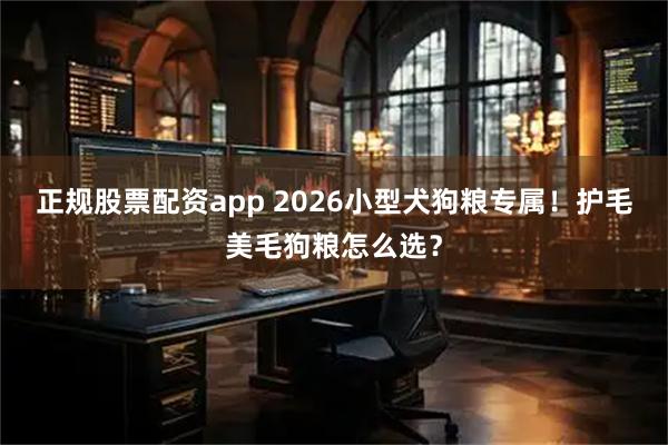 正规股票配资app 2026小型犬狗粮专属！护毛美毛狗粮怎么选？